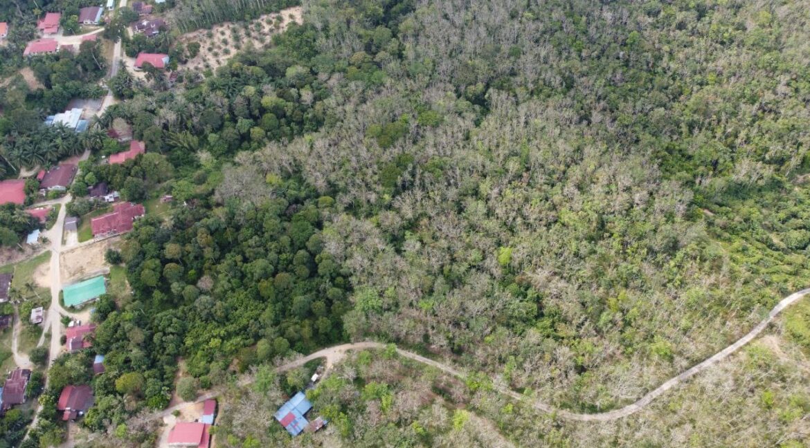Ejen Hartanah Sungai Siput-Tanah Getah 3.34 Ekar Untuk Dijual Di Kampung Temin-8