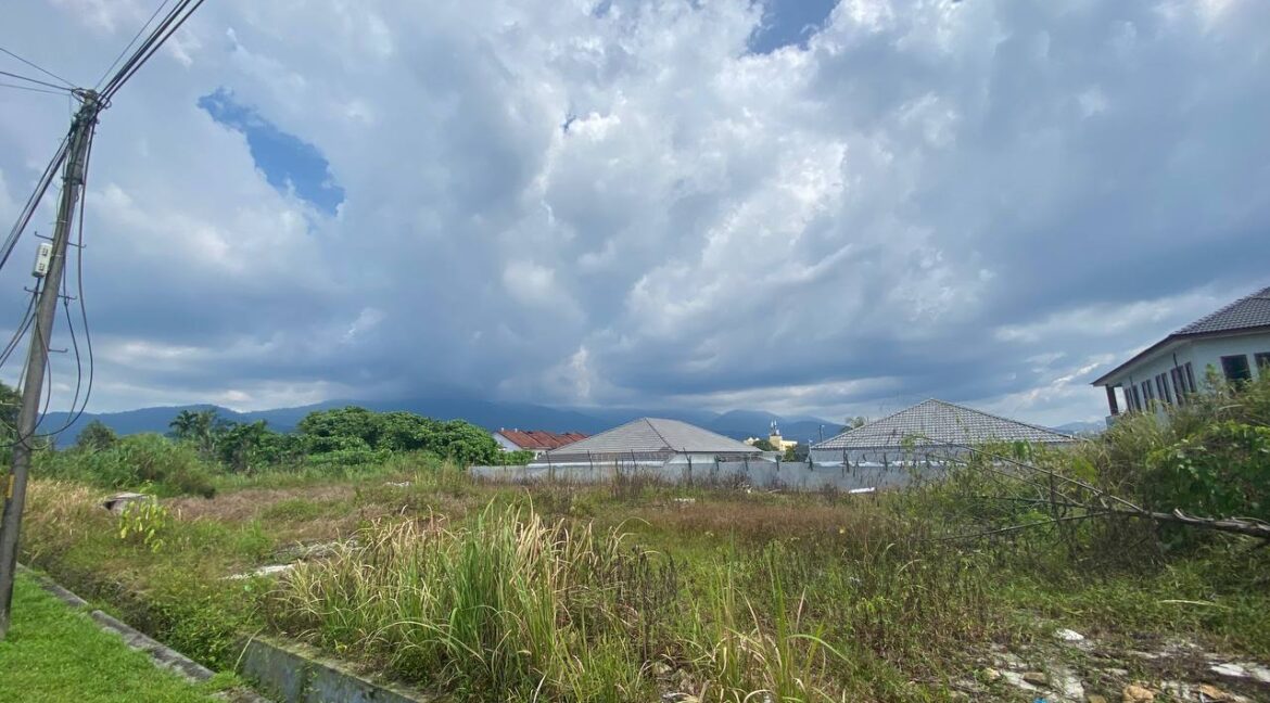 photo_2023-02-05-00.16.04