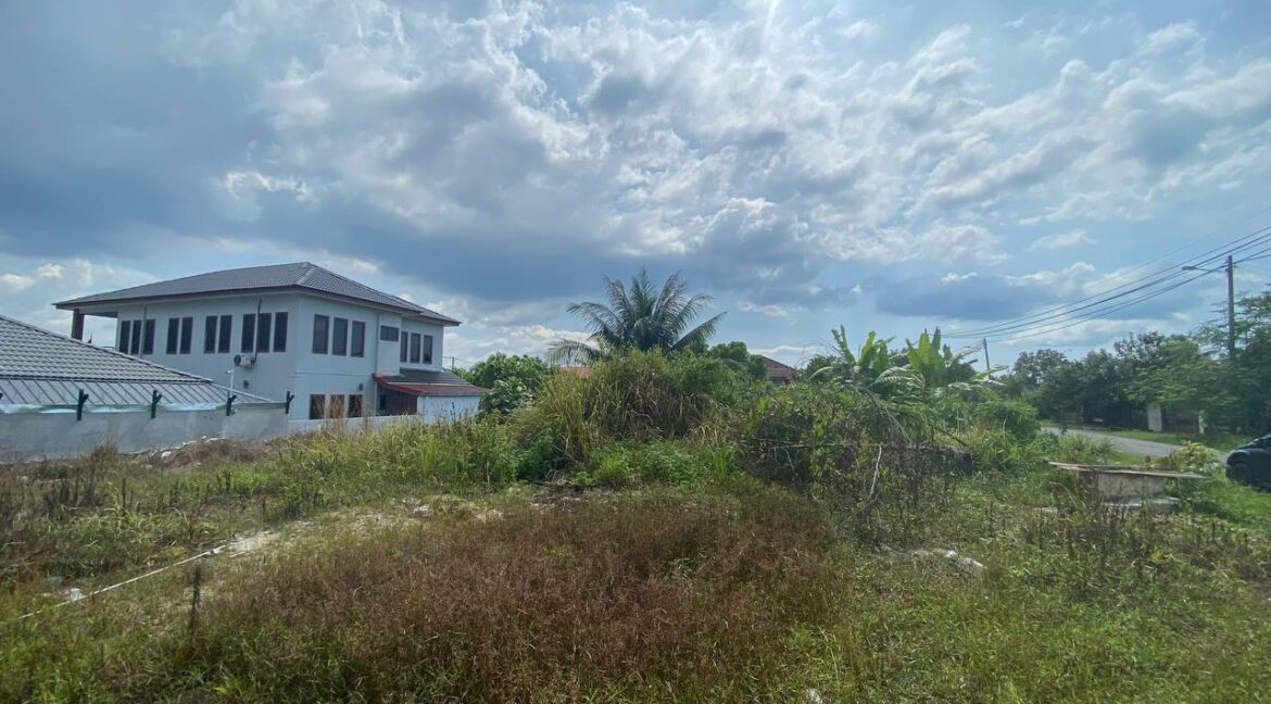 photo_2023-02-05-00.16.07