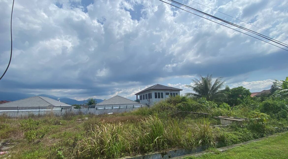 photo_2023-02-05-00.16.13