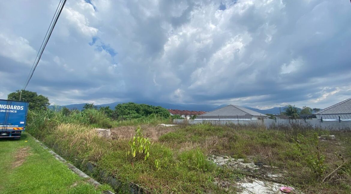 photo_2023-02-05-00.16.16