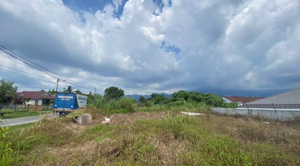 photo_2023-02-05-00.16.19