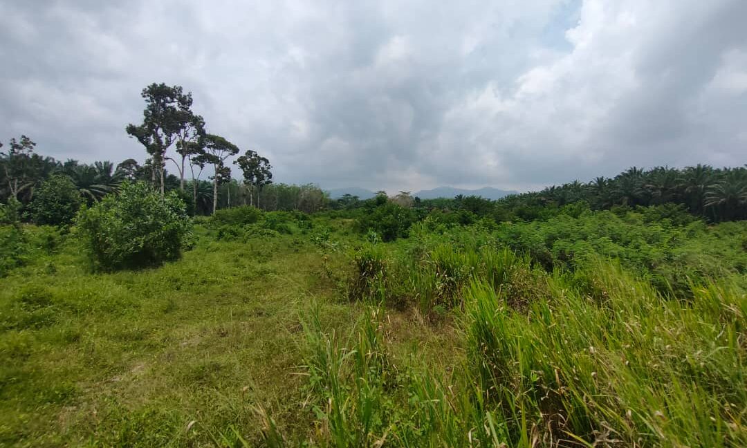 Ejen Hartanah Kamunting Taiping-Rumah Semi D Setingkat Di Taman Desa Jaya 4-2
