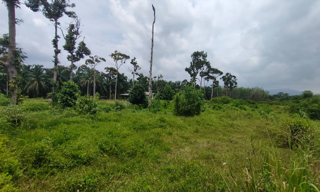 Ejen Hartanah Kamunting Taiping-Rumah Semi D Setingkat Di Taman Desa Jaya 4-5