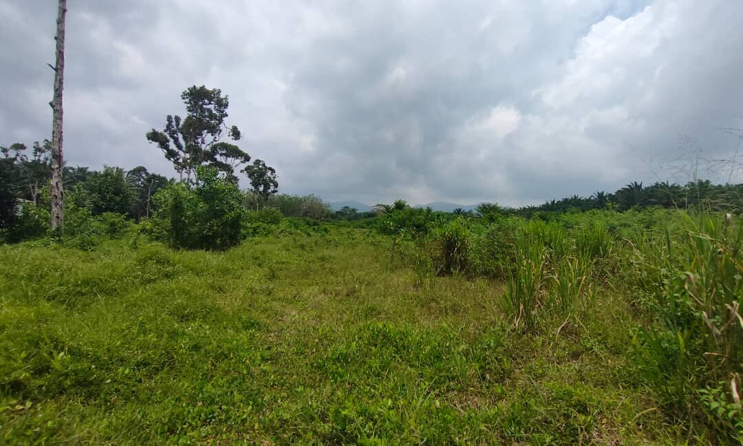 Ejen Hartanah Kamunting Taiping-Rumah Semi D Setingkat Di Taman Desa Jaya 4-6