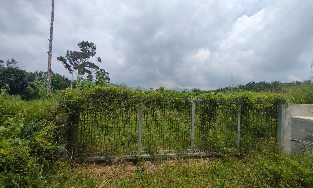 Ejen Hartanah Kamunting Taiping-Rumah Semi D Setingkat Di Taman Desa Jaya 4-8