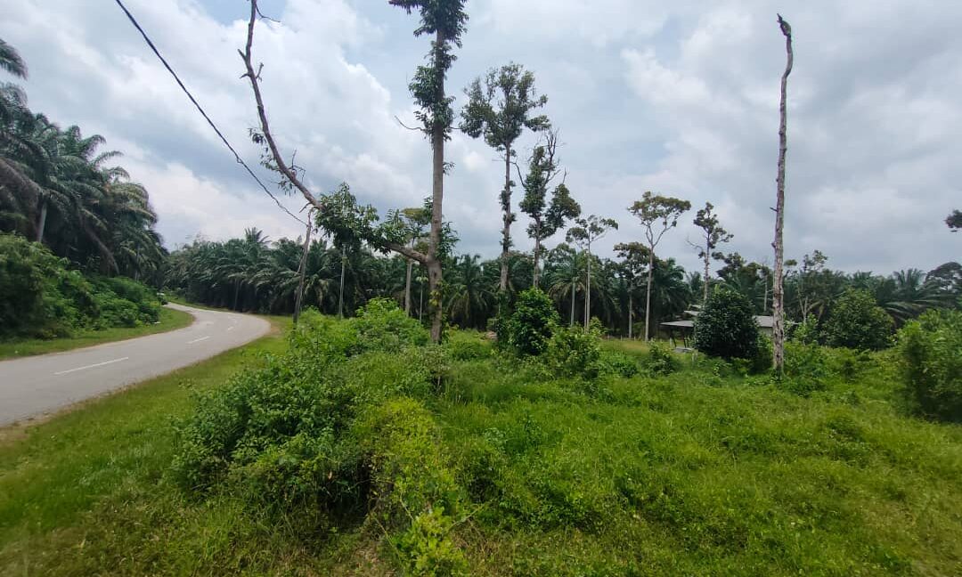 Ejen Hartanah Kamunting Taiping-Rumah Semi D Setingkat Di Taman Desa Jaya 4-9
