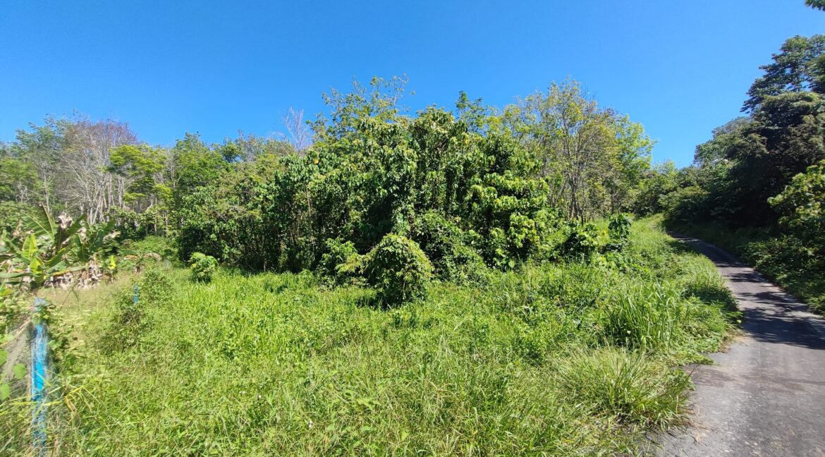 Ejen Hartanah Lenggong Perak-Tanah Pertanian Untuk Dijual Di Kota Tampan, Lenggong Hulu Perak-11