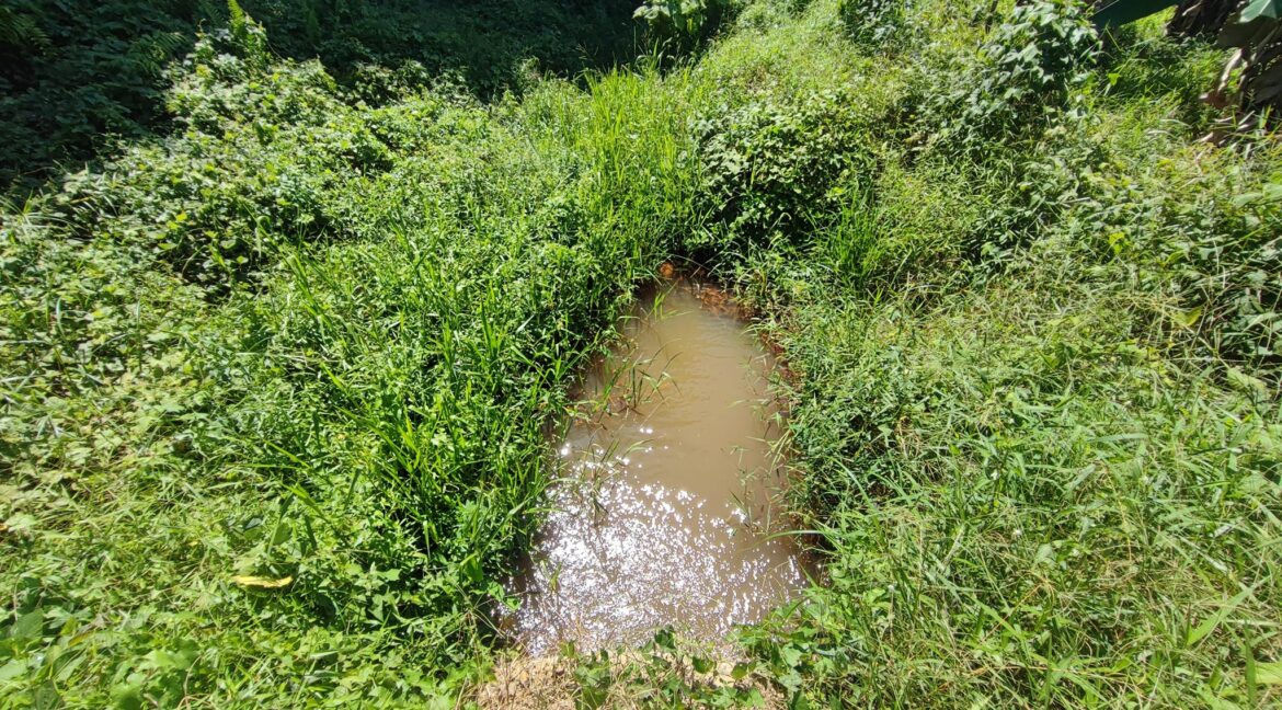 Ejen Hartanah Lenggong Perak-Tanah Pertanian Untuk Dijual Di Kota Tampan, Lenggong Hulu Perak-12