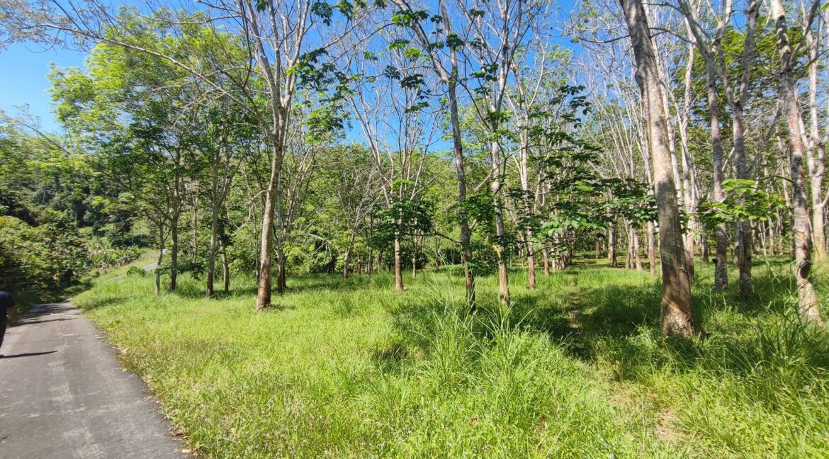 Ejen Hartanah Lenggong Perak-Tanah Pertanian Untuk Dijual Di Kota Tampan, Lenggong Hulu Perak-14