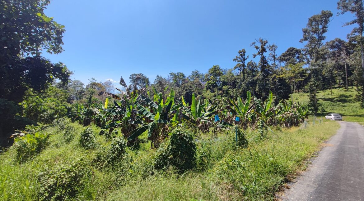 Ejen Hartanah Lenggong Perak-Tanah Pertanian Untuk Dijual Di Kota Tampan, Lenggong Hulu Perak-15