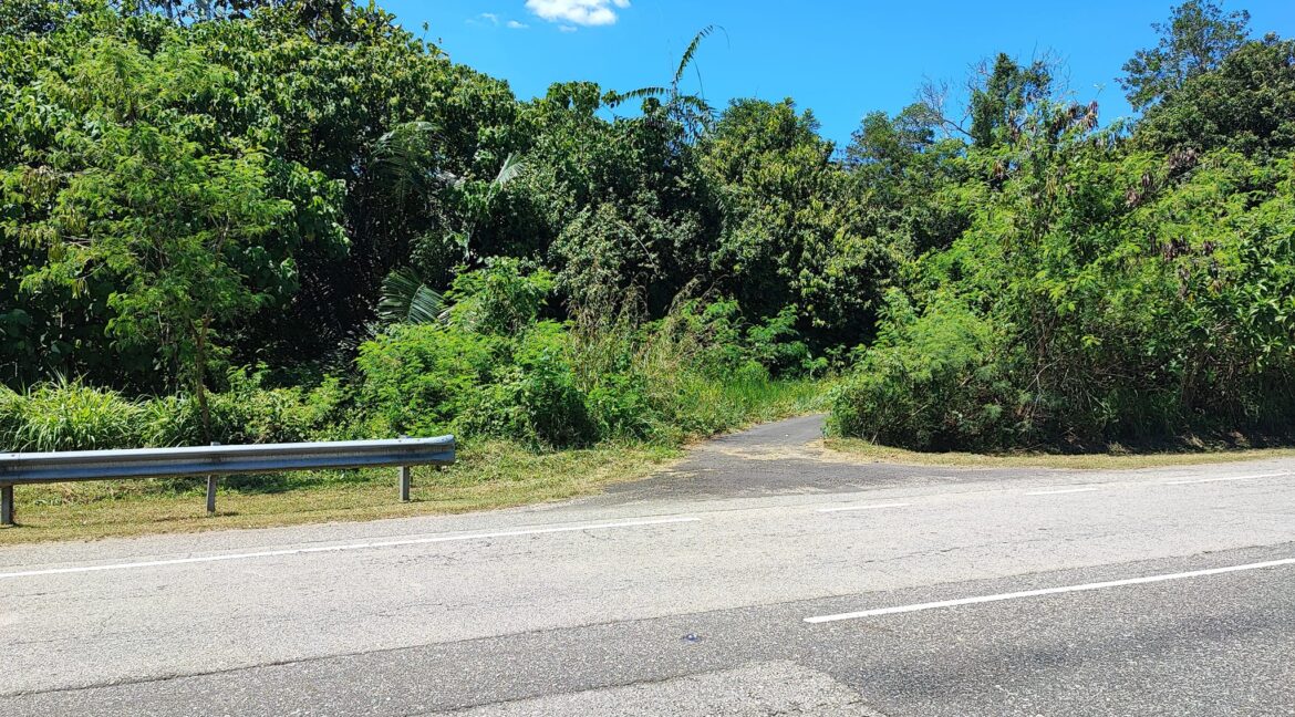 Ejen Hartanah Lenggong Perak-Tanah Pertanian Untuk Dijual Di Kota Tampan, Lenggong Hulu Perak-16