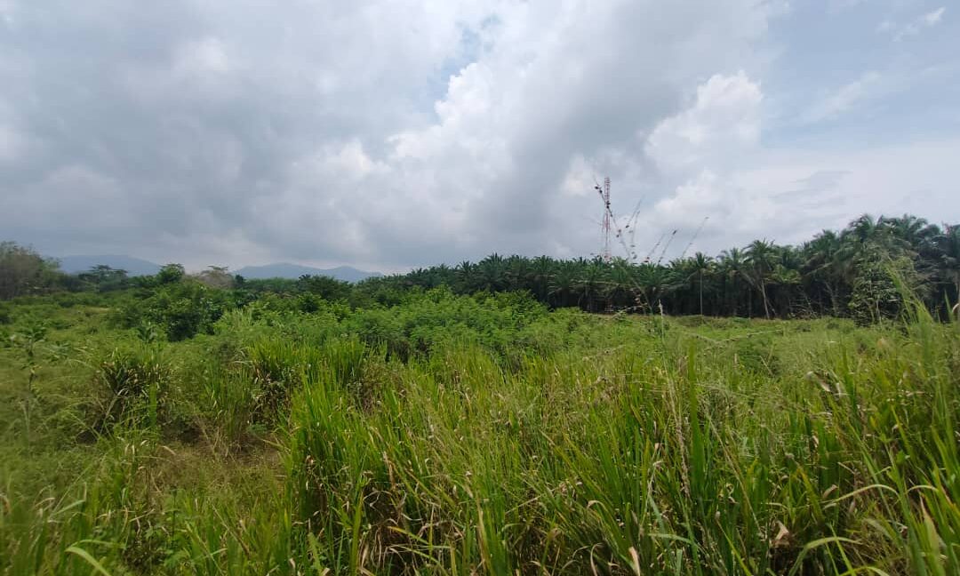 Ejen Hartanah Perak-Tanah Lot Untuk Dijual Di Parit-1