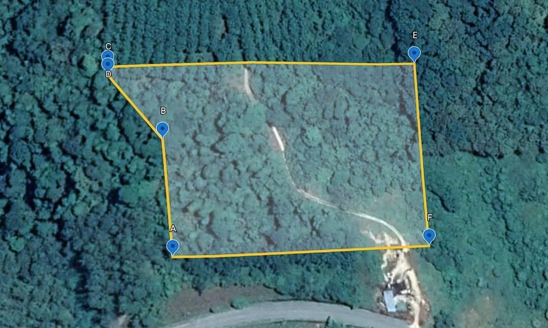 Ejen Hartanah Perak-Tanah Pertanian 4.8 Ekar Untuk Dijual Di Lenggong Perak-12