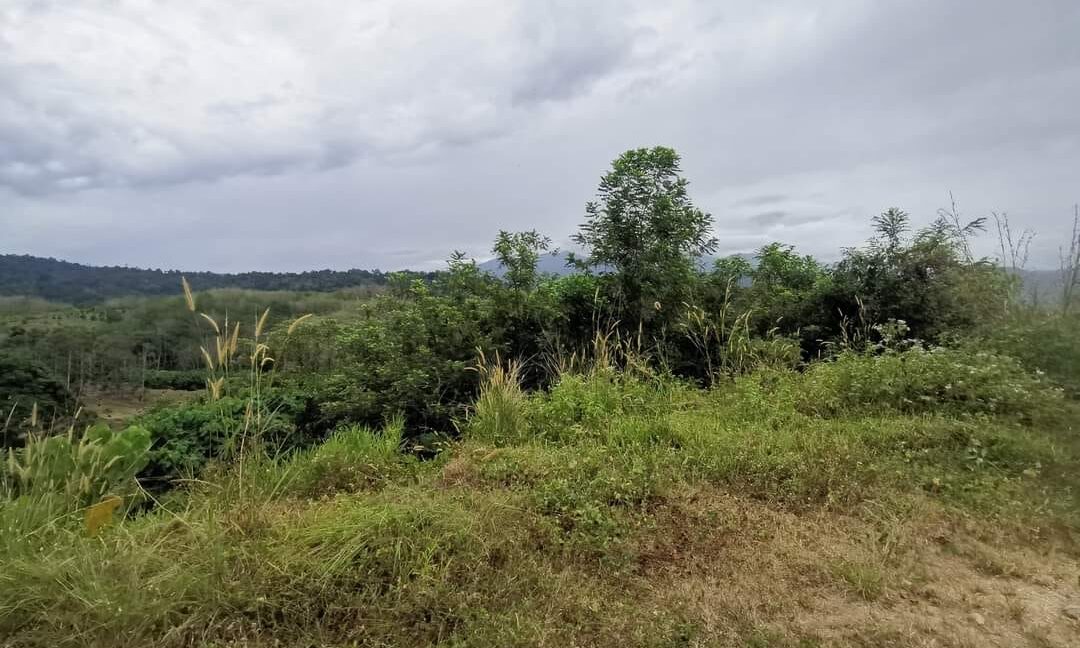 Ejen Hartanah Perak-Tanah Pertanian 4.8 Ekar Untuk Dijual Di Lenggong Perak-22