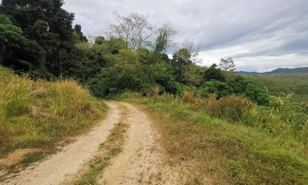 Ejen Hartanah Perak-Tanah Pertanian 4.8 Ekar Untuk Dijual Di Lenggong Perak-23