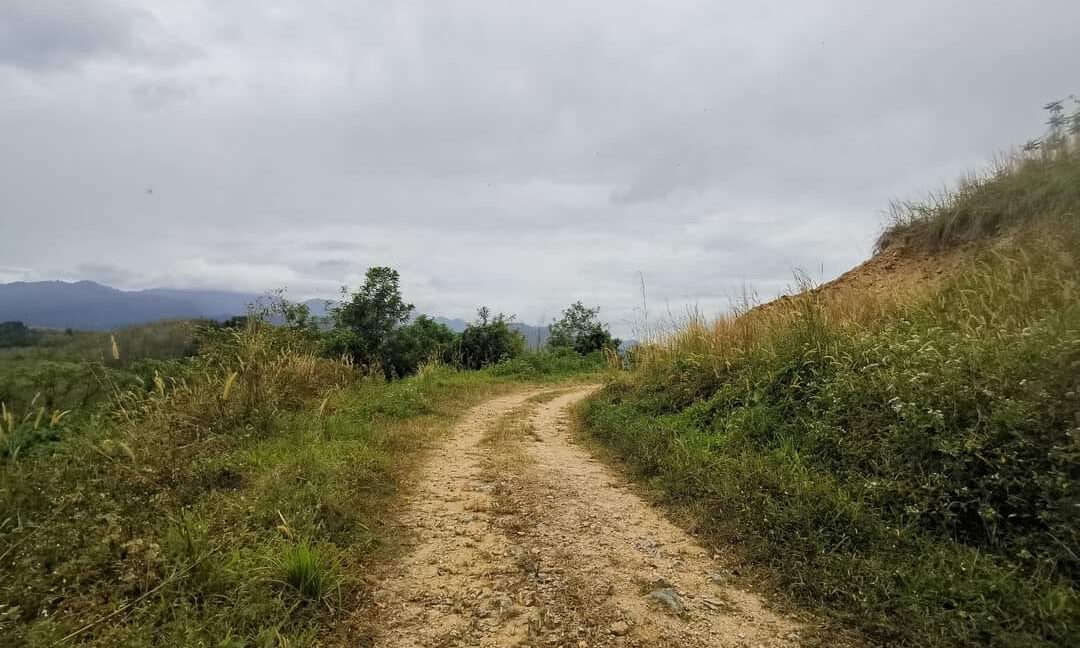 Ejen Hartanah Perak-Tanah Pertanian 4.8 Ekar Untuk Dijual Di Lenggong Perak-3