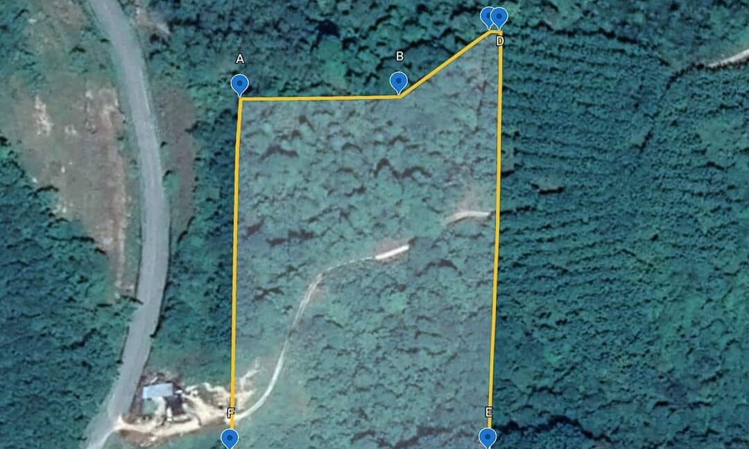 Ejen Hartanah Perak-Tanah Pertanian 4.8 Ekar Untuk Dijual Di Lenggong Perak-8