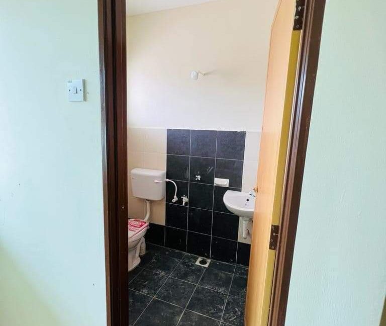 FB_IMG_1678118946218