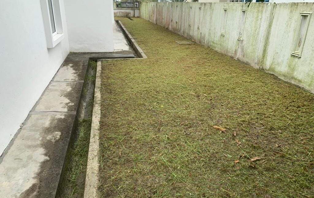 FB_IMG_1685366286219