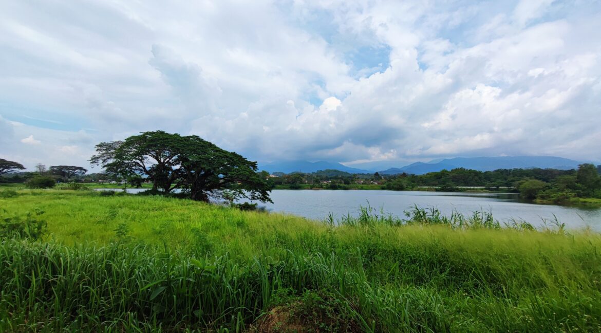 [OPEN FACING] Rumah Teres Setingkat Untuk Dijual di Taman Tanjung Emas, Tanjung Rambutan Perak (1)