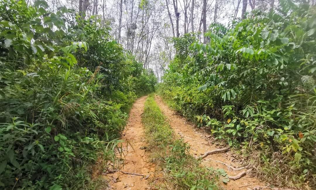 TANAH UNTUK DIJUAL DI SUNGAI SIPUT, PERAK (1)