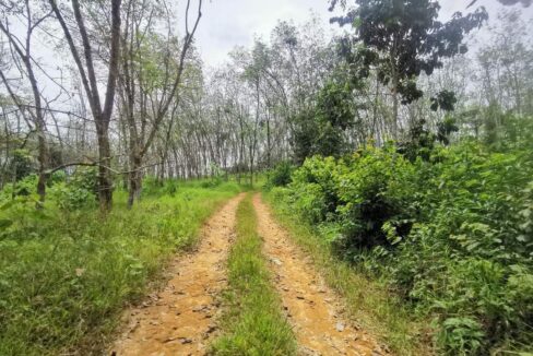 TANAH UNTUK DIJUAL DI SUNGAI SIPUT, PERAK