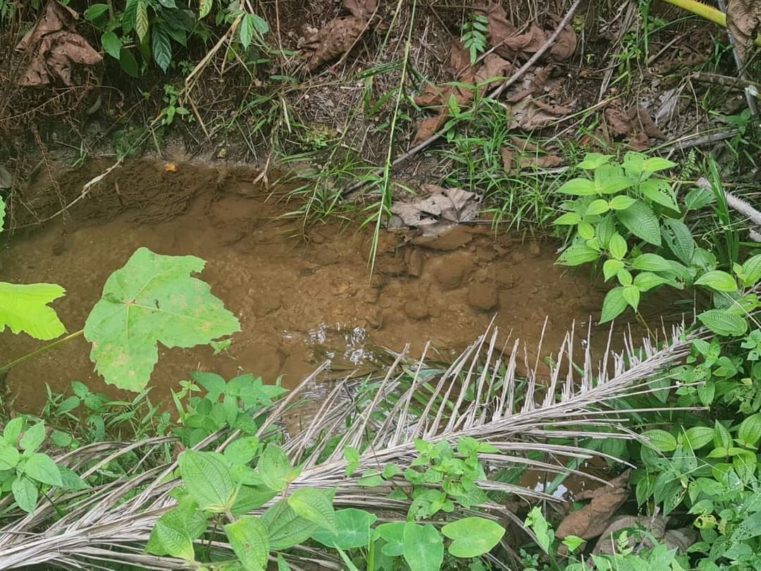 Tanah Pertanian Ada Anak Sungai Untuk Dijual