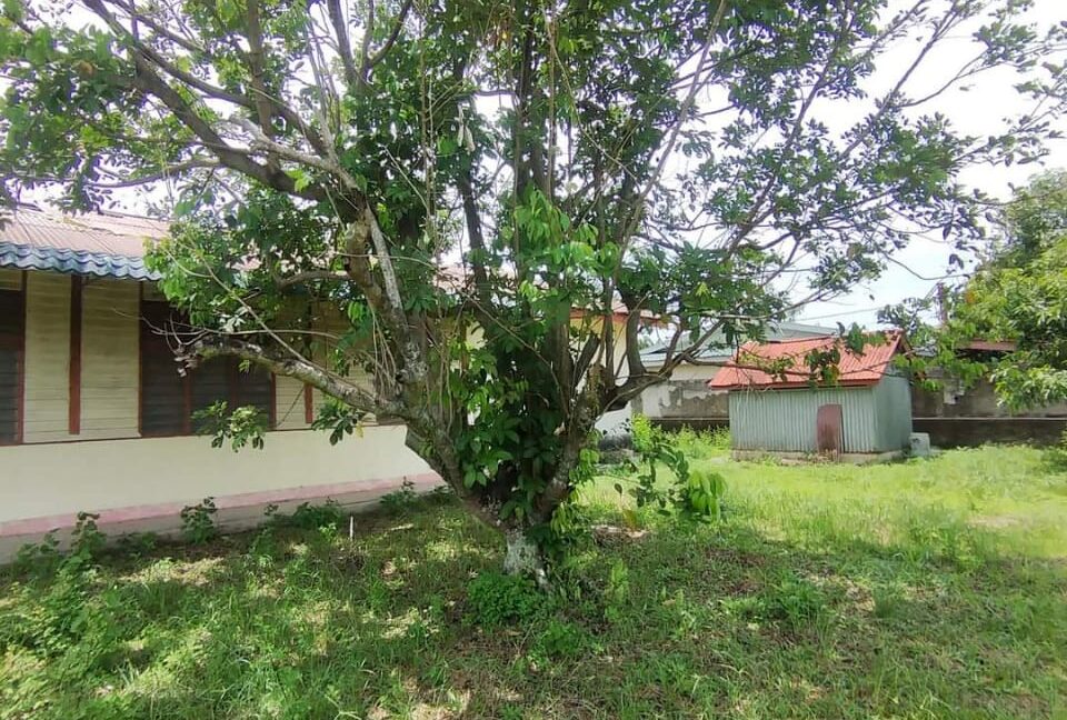 Tanah + Banglo Lama Untuk Dijual Di Ipoh, Perak (3)