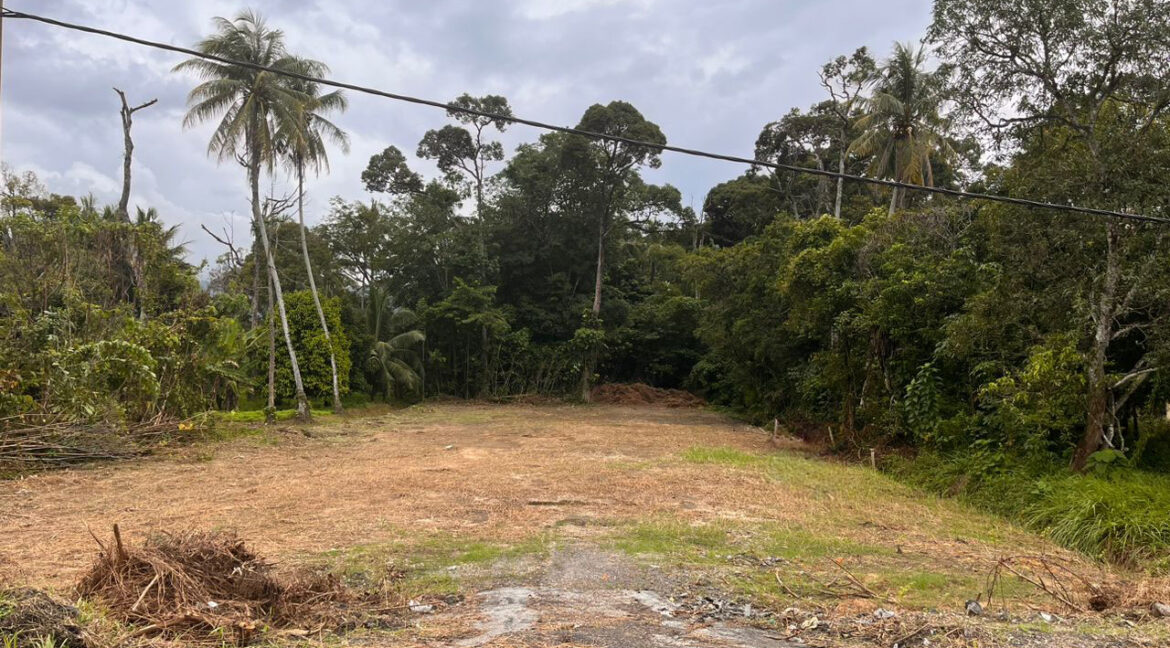 tanahpertaniangopeng-untukdijual-03