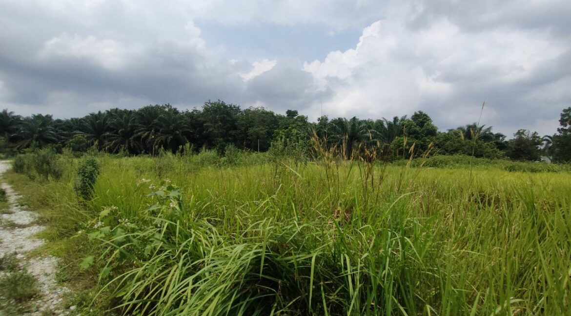 34b74f88-461c-4933-ad25-ca5df8c935ef