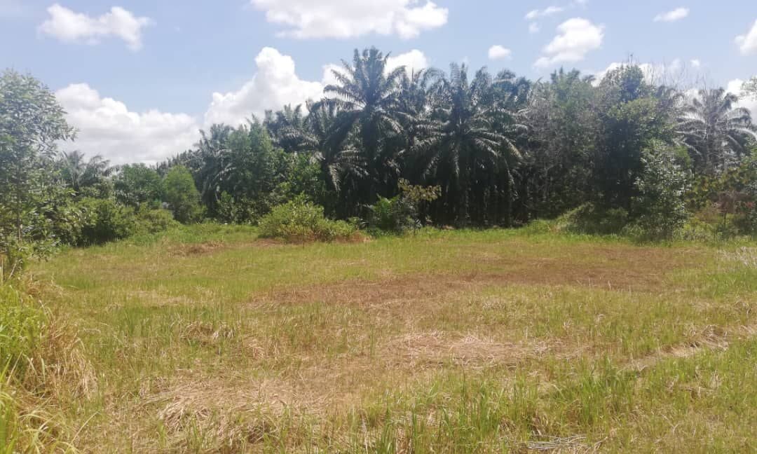 6041bf82-0bdf-4edb-b3fa-017194bf63c2 (1)