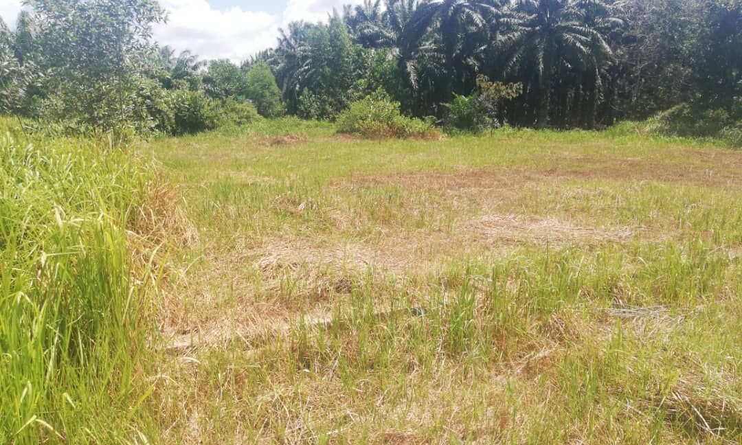 6041bf82-0bdf-4edb-b3fa-017194bf63c2