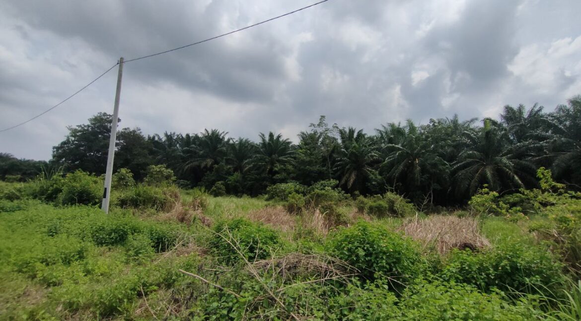 7c28f0b2-ba94-4497-93a3-b815f576d518