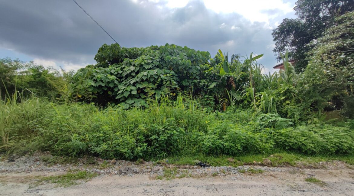 2bca9442-2bad-4395-a25e-207b79331abd