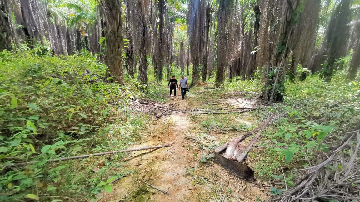 327042443_1223596635203110_5333025878197584400_n