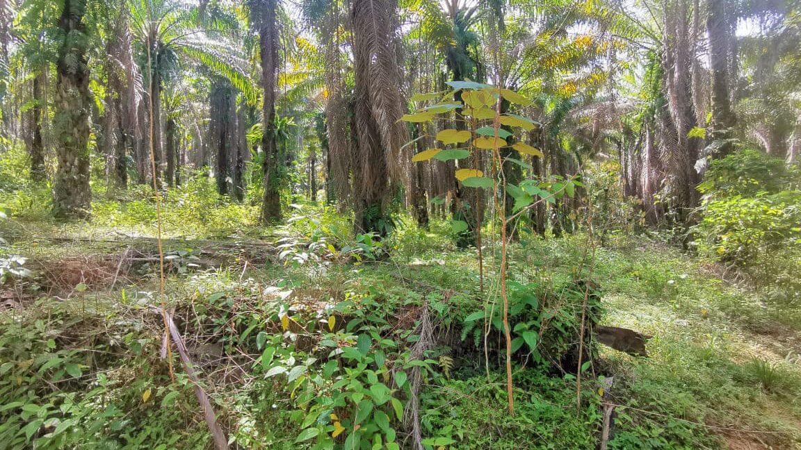 327054871_890068938788756_9068818023541292866_n