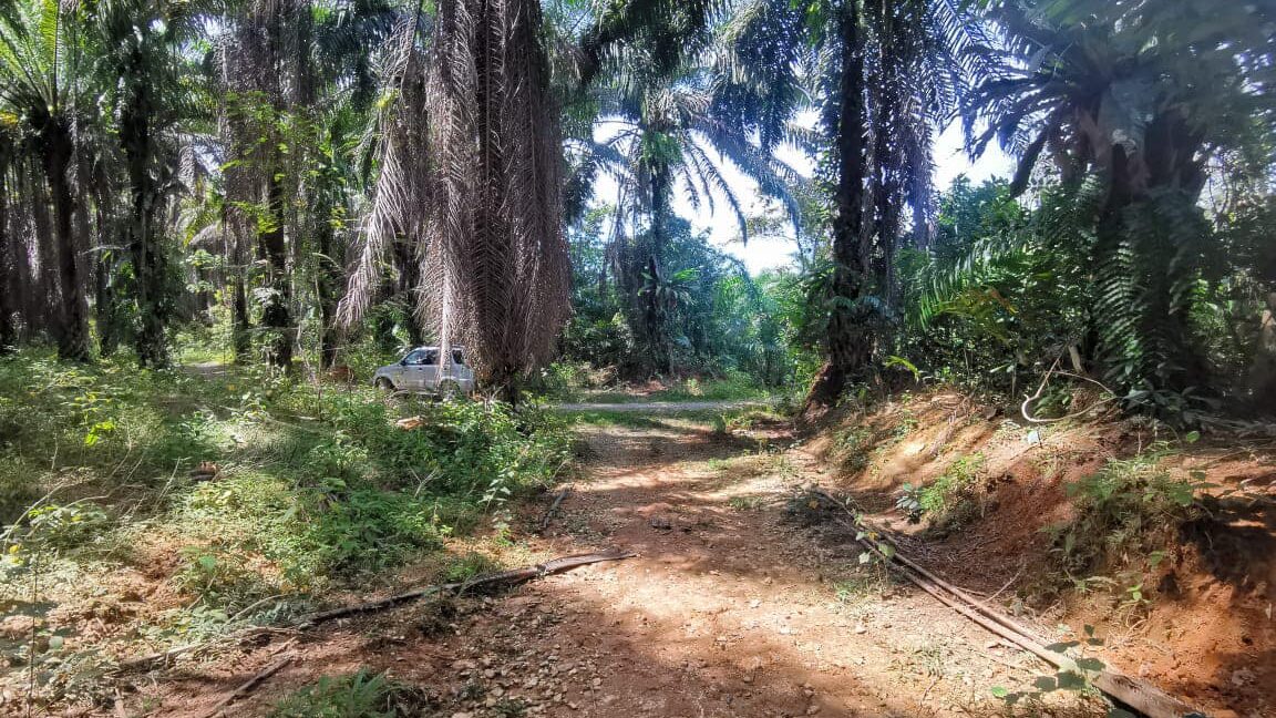 327166273_873780967268609_4697733910457507242_n