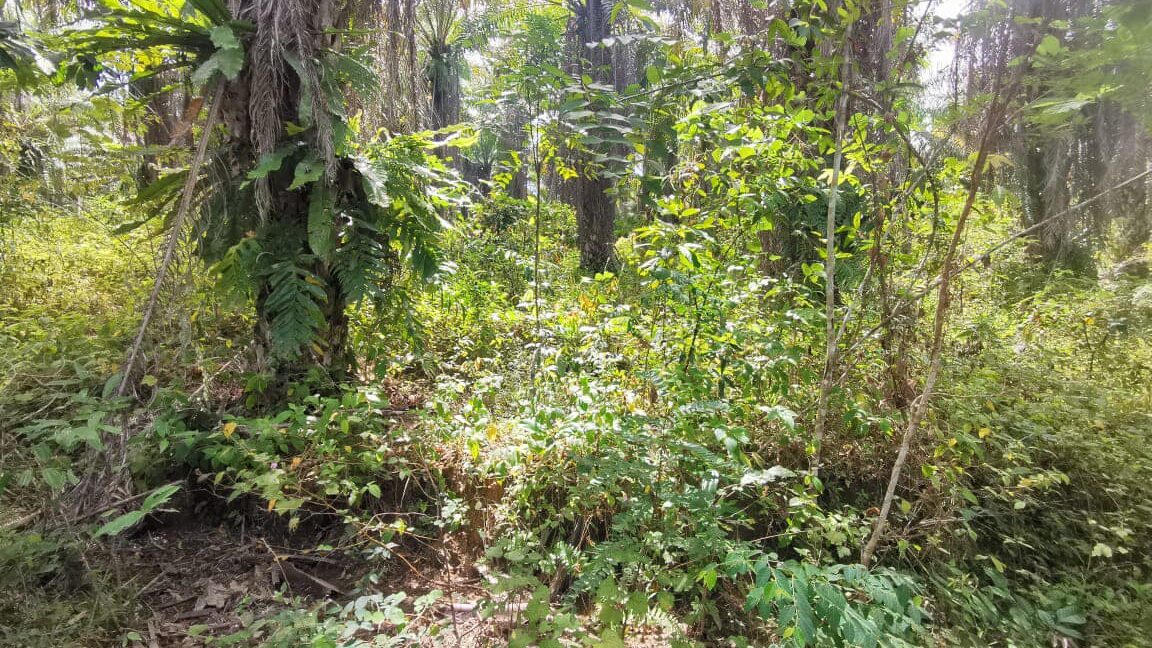 327352107_748432936879364_9045800559565585998_n