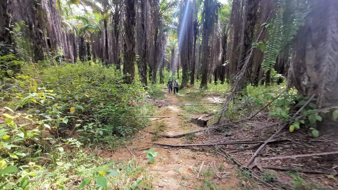 327427701_1003872831016164_6536091012750817112_n