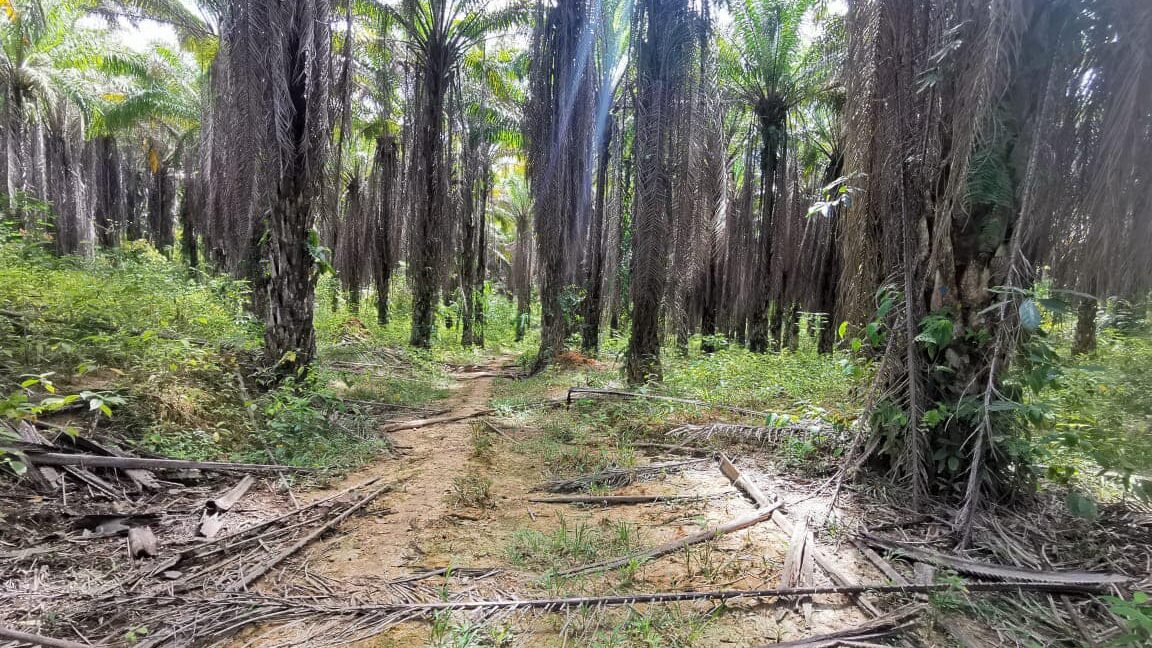 327449097_1139001213478022_4015944144836307835_n