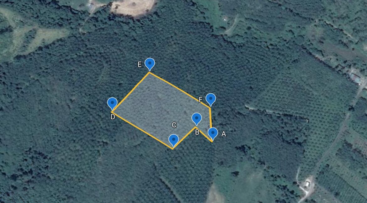 331314446_761099935603970_3757262387275316363_n