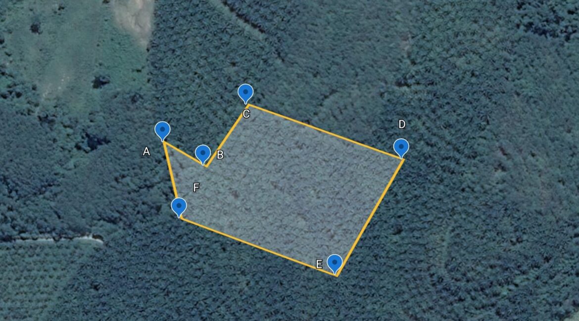 331322010_1157128034946329_2177078197222918215_n