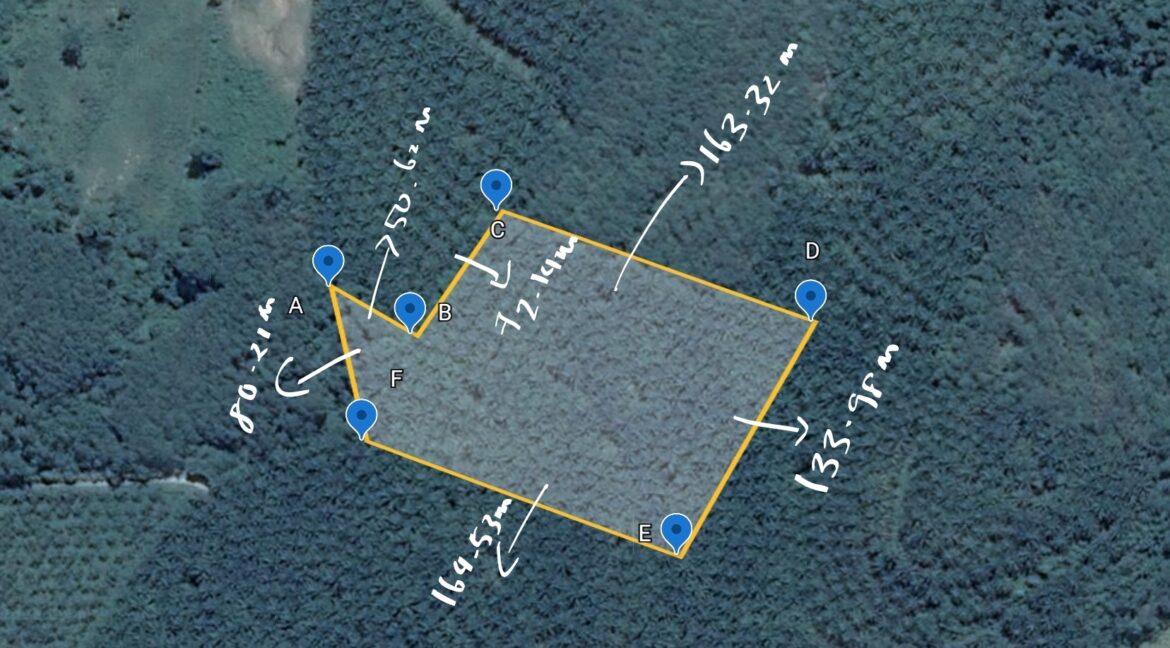 331574427_3395857734067204_4311026742067807749_n