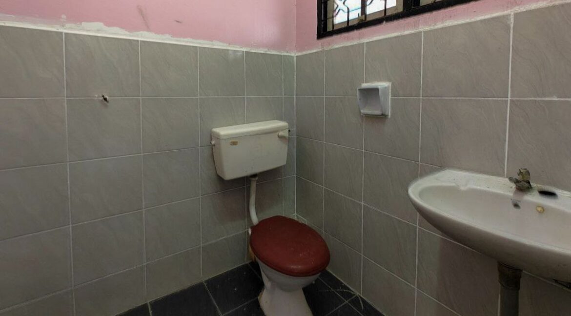 5a254fe0-63d4-45d2-82e2-bc8bbfb2689a