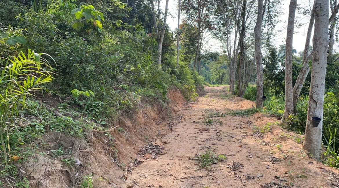 tanah-pertanian-untuk-dijual-di-padang-grus-lenggong-01