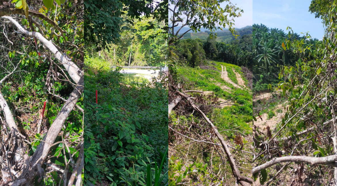 tanah-pertanian-untuk-dijual-di-padang-grus-lenggong-04