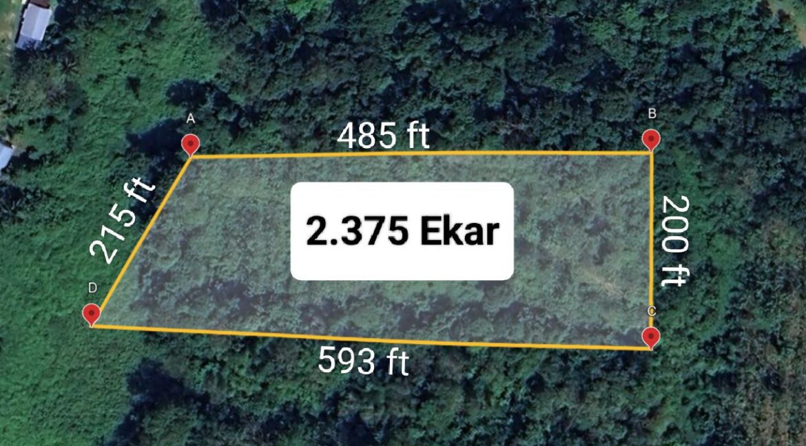 103bfe33-3384-4e5c-8e9c-faffff2f1861