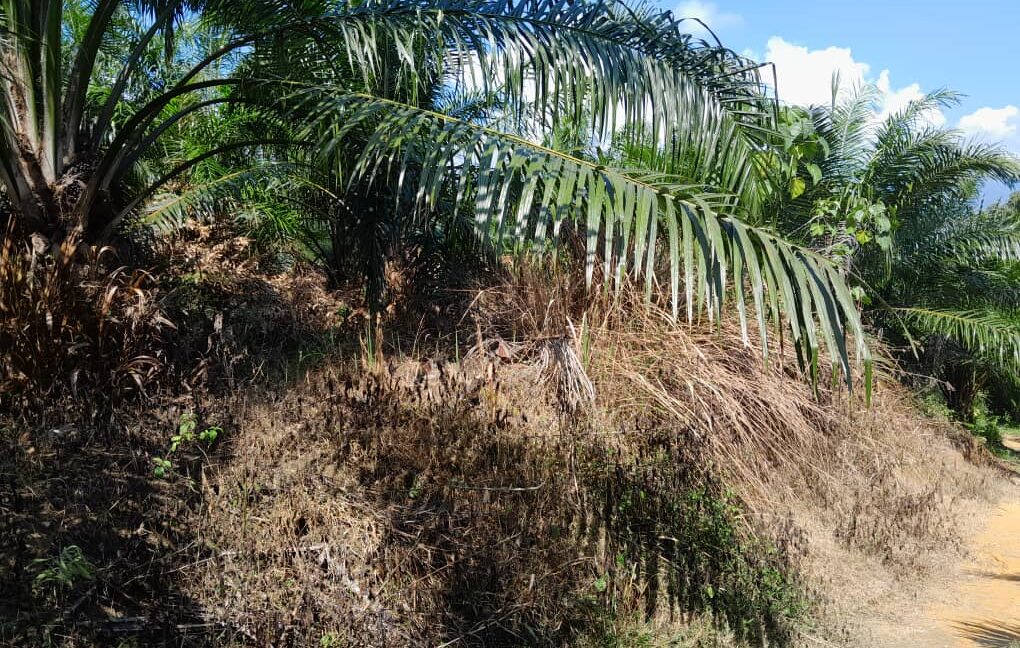 290e76e8-0ea9-4657-9231-3876f7bd669b