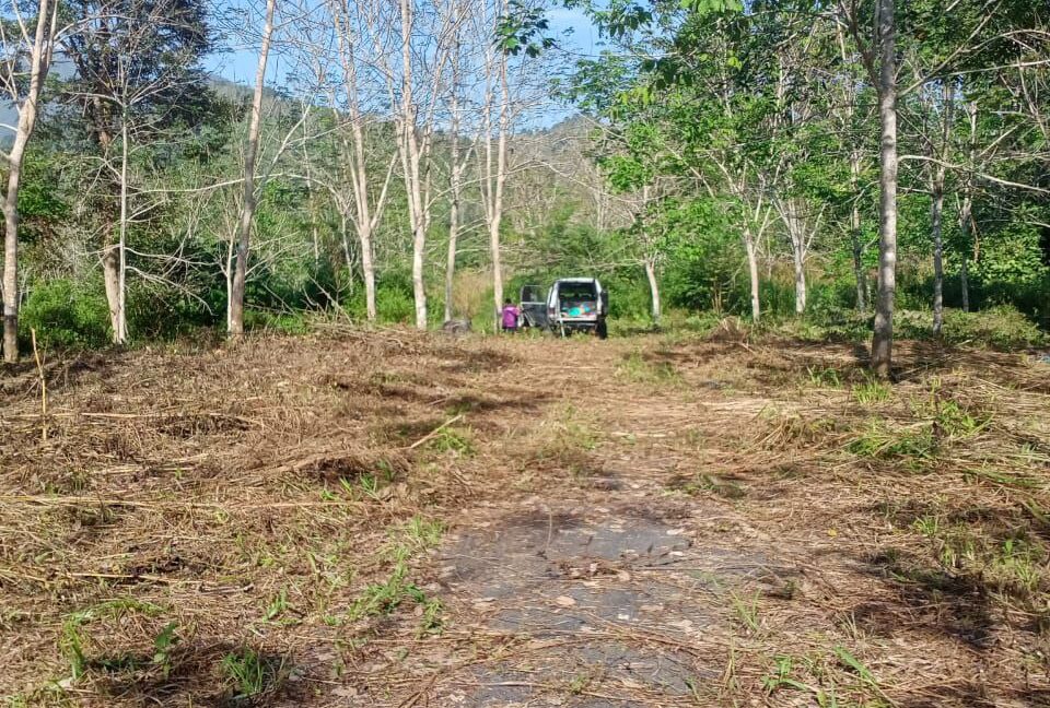 2f0ecfdc-bd48-4404-a520-431968750432